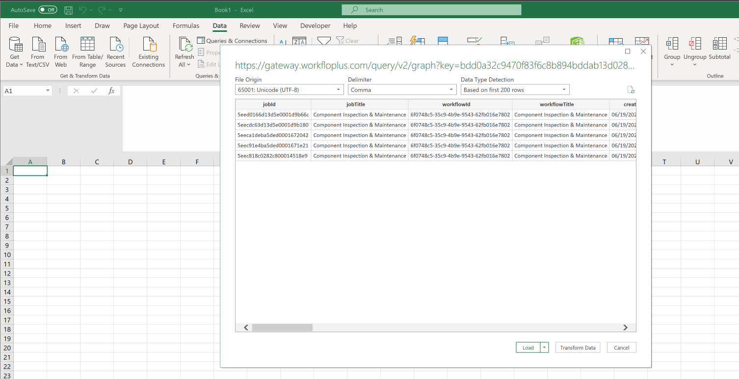 Excel - Preview Data Format